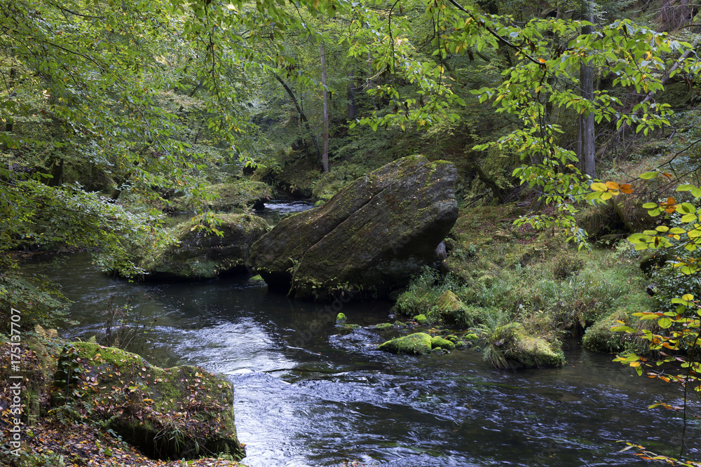 Wild autumn Landscape around the Creek Kamenice in the Czech Switzerland with Sandstone Boulders, Czech Republic Wild autumn Landscape around the Creek Kamenice in the Czech Switzerland with Sandstone Boulders, Czech Republic
