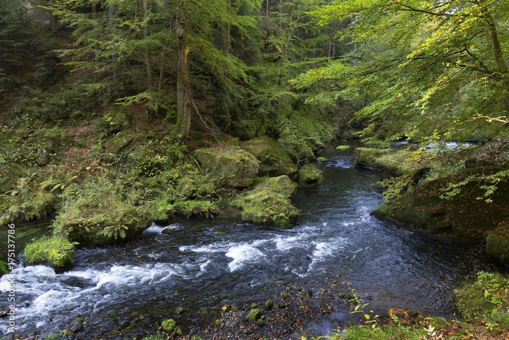 Wild autumn Landscape around the Creek Kamenice in the Czech Switzerland with Sandstone Boulders, Czech Republic Wild autumn Landscape around the Creek Kamenice in the Czech Switzerland with Sandstone Boulders, Czech Republic