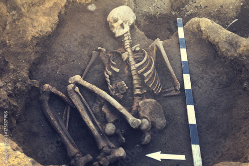 Archaeological excavations and finds (bones of a skeleton in a human burial),  working tool, ruler, arrow direction north, a detail of ancient research, prehistory.