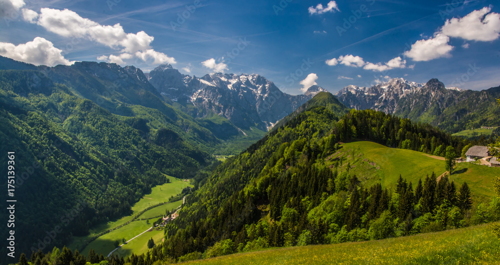 Fototapeta premium Logarska Dolina