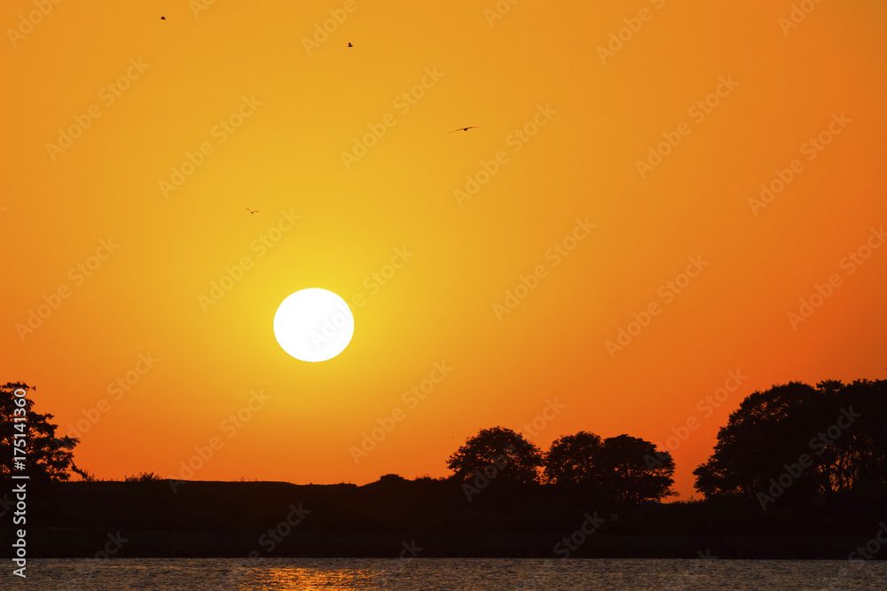 beautiful orange sunset of a large sun beautiful orange sunset of a large sun