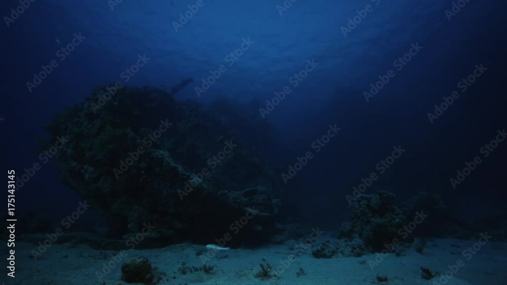 Scuba diver swims to sunken shipwreck Scuba diver swims to sunken shipwreck