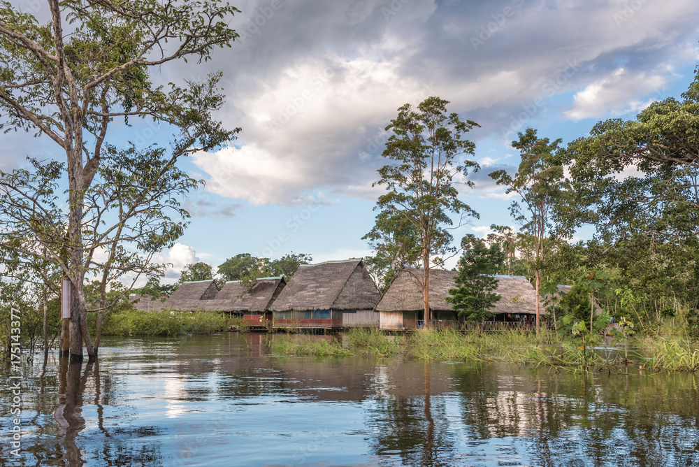 Fototapeta premium Row of thatch roof huts along the Amazon river
