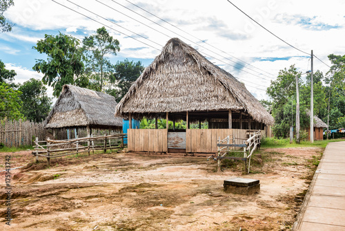 Thatch roof hut with wooden fences in Amazon village