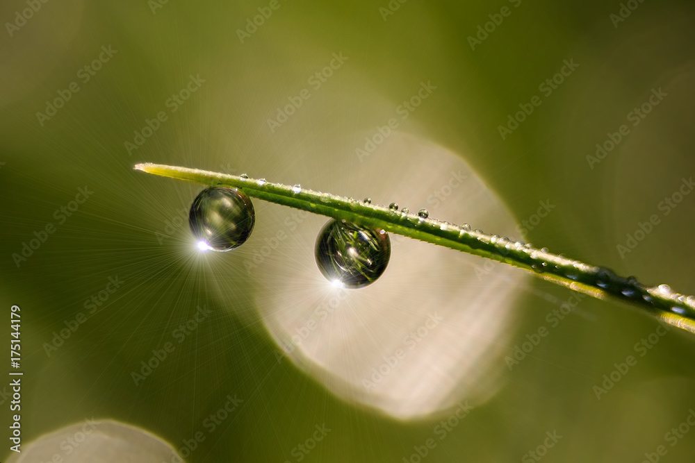 Drop of dew on green leaf grass, romantic green background. Drop of dew on green leaf grass, romantic green background.