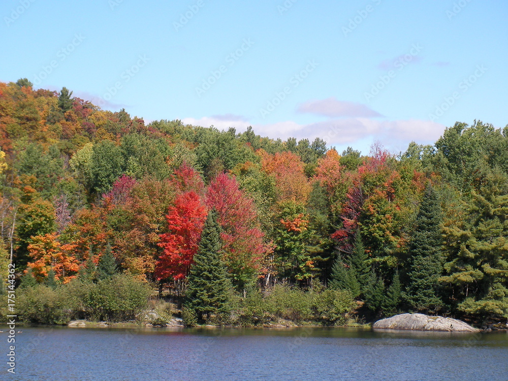 Autumn colors in Ontario, Canada.