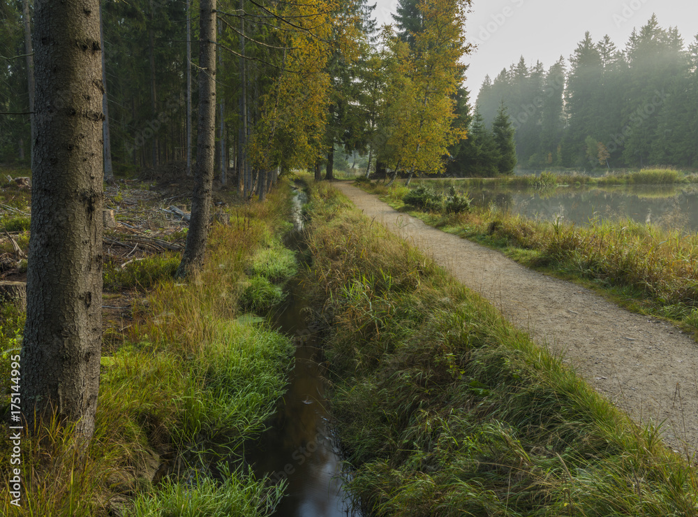 Fototapeta premium Morning fog and path near Bahnak ponds in Kladska village