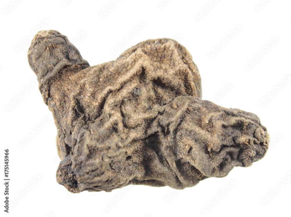 Tuber of poppy anemone or Anemone coronaria isolated on white background
