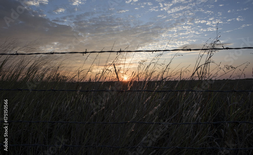Barbed Wire Sunset