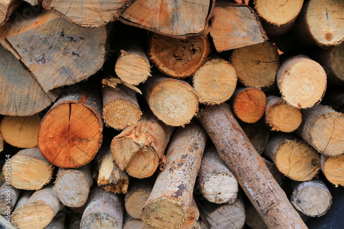 Close up Firewoods