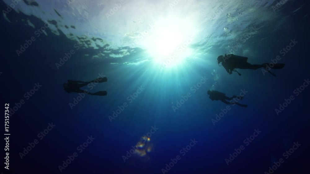 Scenic shot of Scuba divers in backlight, sun over a tropical coral reef , French Polynesia