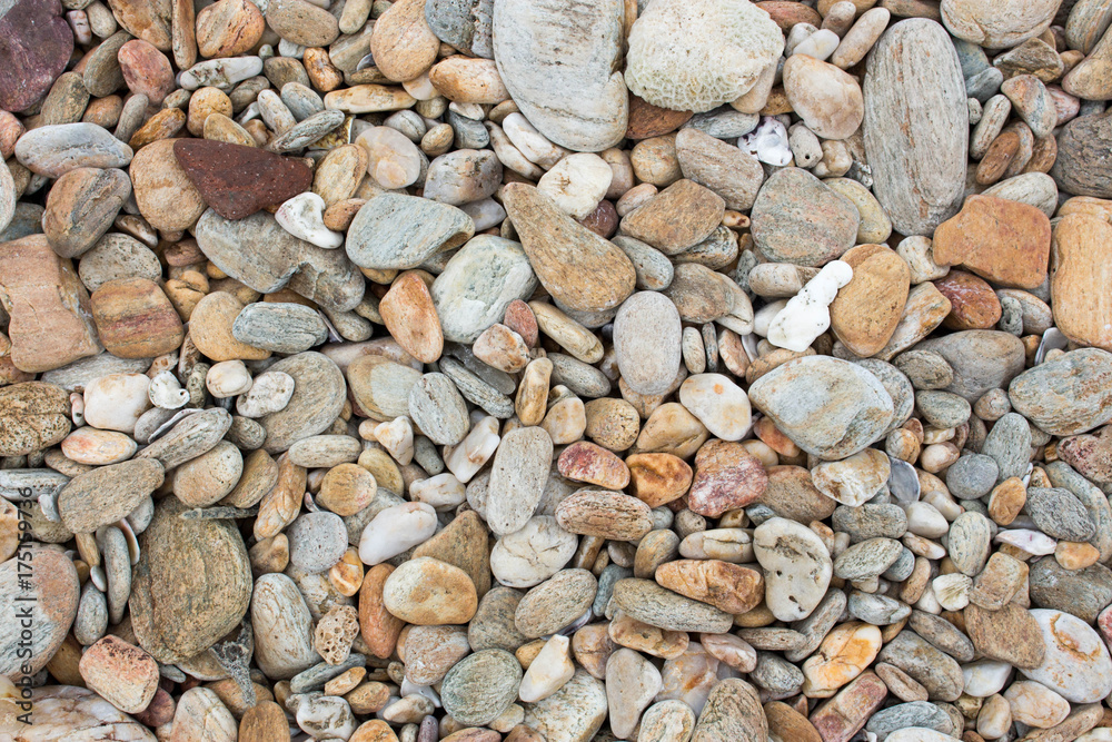 A stone are small and big size with colourful at the coastal . A stone are small and big size with colourful at the coastal .