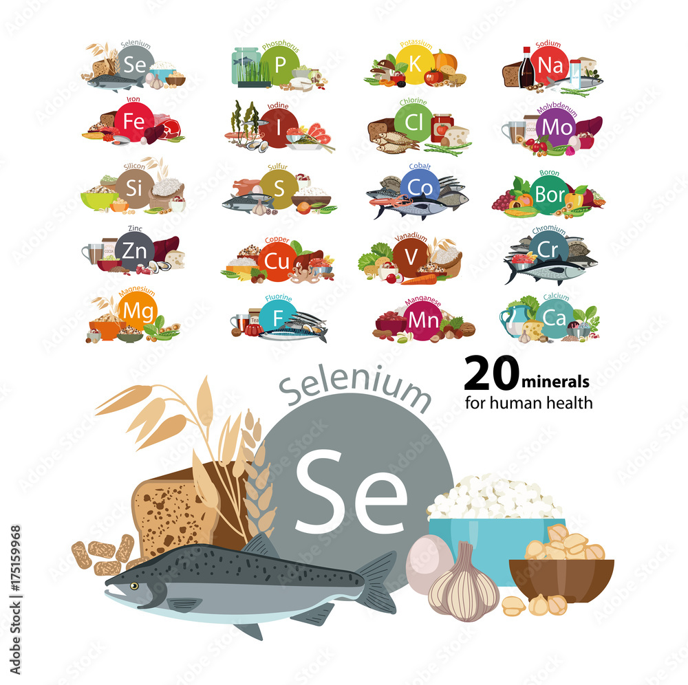 Fototapeta premium 20 minerals