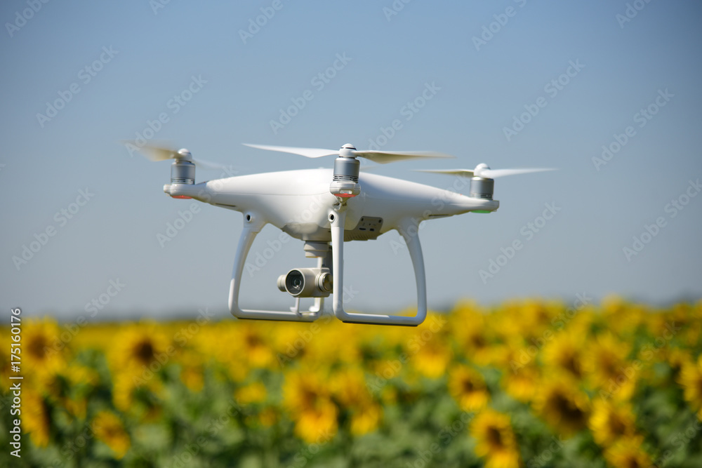 Phantom drone and sunflower yellow field sky Phantom drone and sunflower yellow field sky