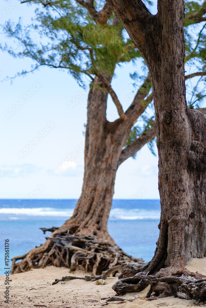 Tropical beach background. Reunion Island Tropical beach background. Reunion Island