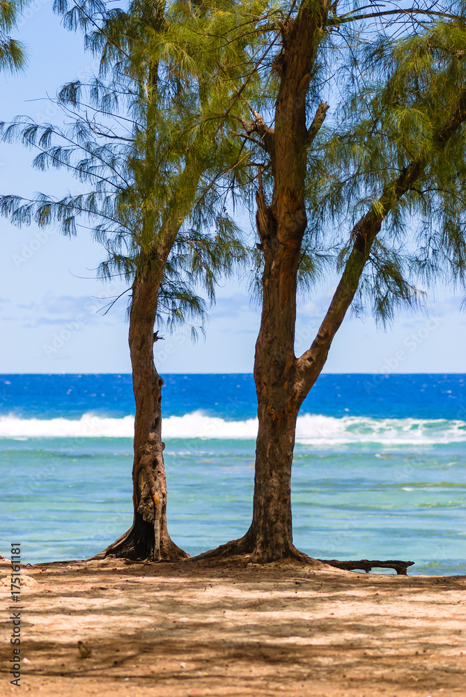 Tropical beach background. Reunion Island Tropical beach background. Reunion Island