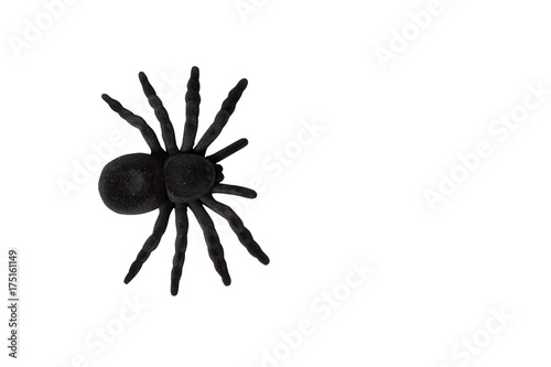 black spider toy