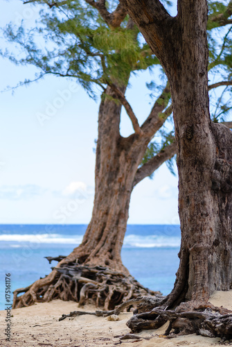 Tropical beach background. Reunion Island