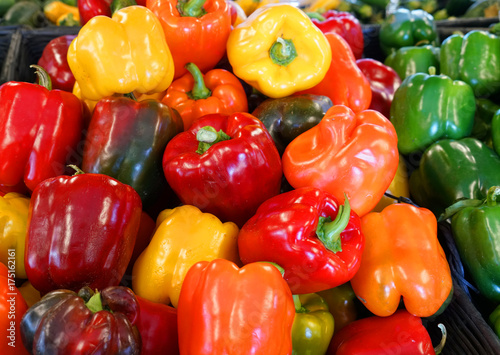Close up on colorful bell peppers in harvest season in farm store
