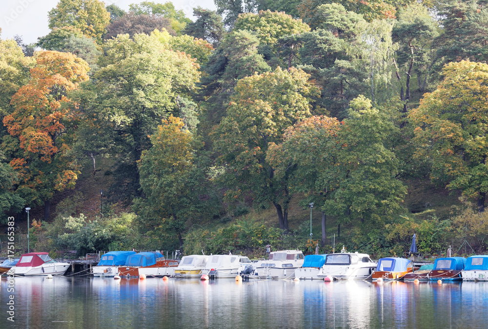 Naklejka premium Trees and boats reflecting in the water. Warm green and yellow colors
