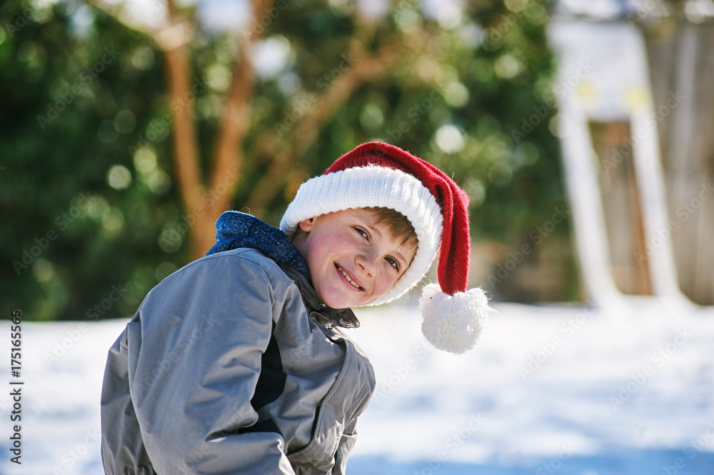 The boy at winter day in Christmas Santa hat , a walk in the Park .Winter active holidays in the Christmas holidays The boy at winter day in Christmas Santa hat , a walk in the Park .Winter active holidays in the Christmas holidays