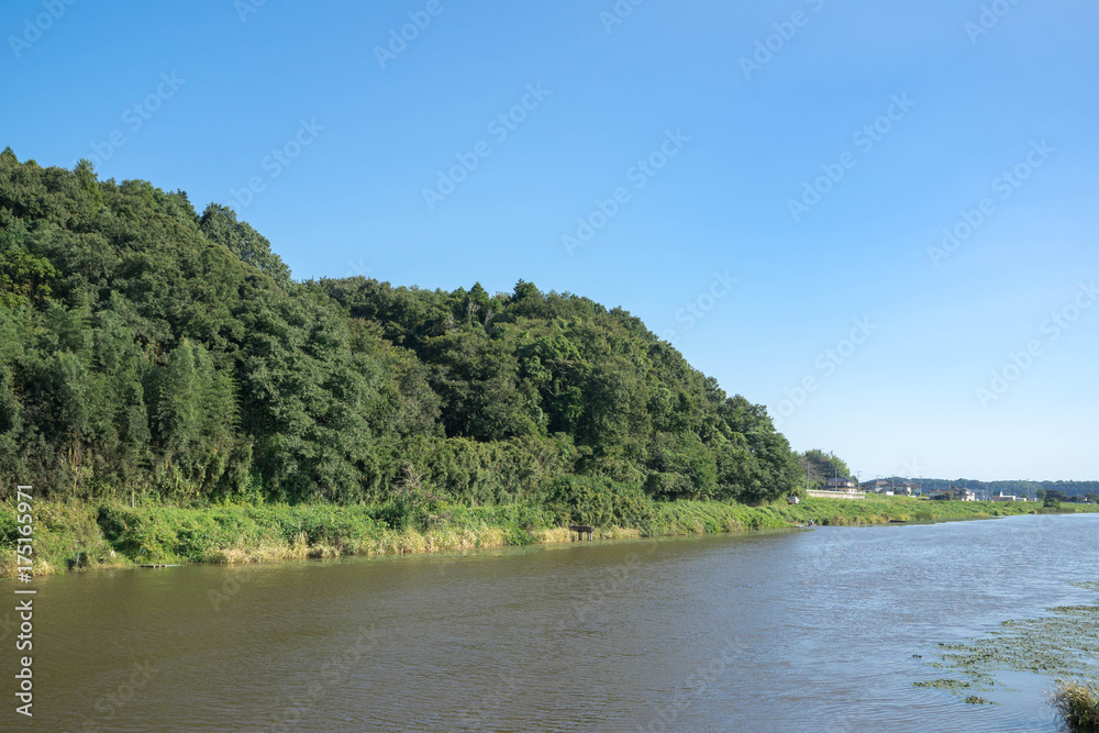 川岸の風景