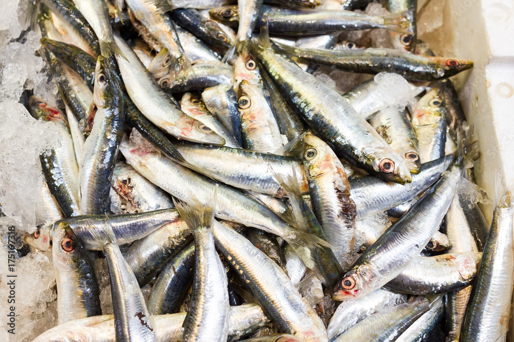 Sea fish on market stalls Sea fish on market stalls