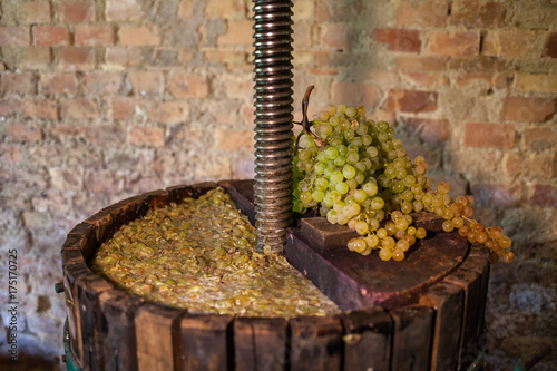 Grape harvest: Wine press with white must and bunch of grapes photo