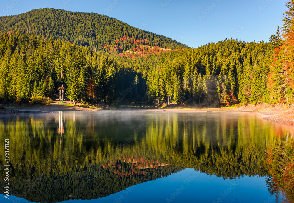 Fototapeta premium National Park Synevyr, Ukraine - October 23, 2016: forest reflection on foggy surface of Synevyr lake. high altitude mountain lake among spruce forest on beautiful autumn morning