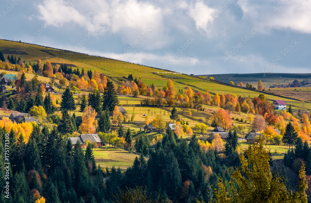 village on hillsides in mountains. beautiful countryside scenery with yellow trees village on hillsides in mountains. beautiful countryside scenery with yellow trees