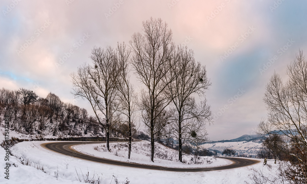 trees on serpentine on winter morning. lovely winter landscape with snow covered hills and cloudy sky trees on serpentine on winter morning. lovely winter landscape with snow covered hills and cloudy sky