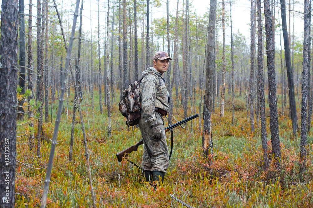 hunter in the pine forest hunter in the pine forest