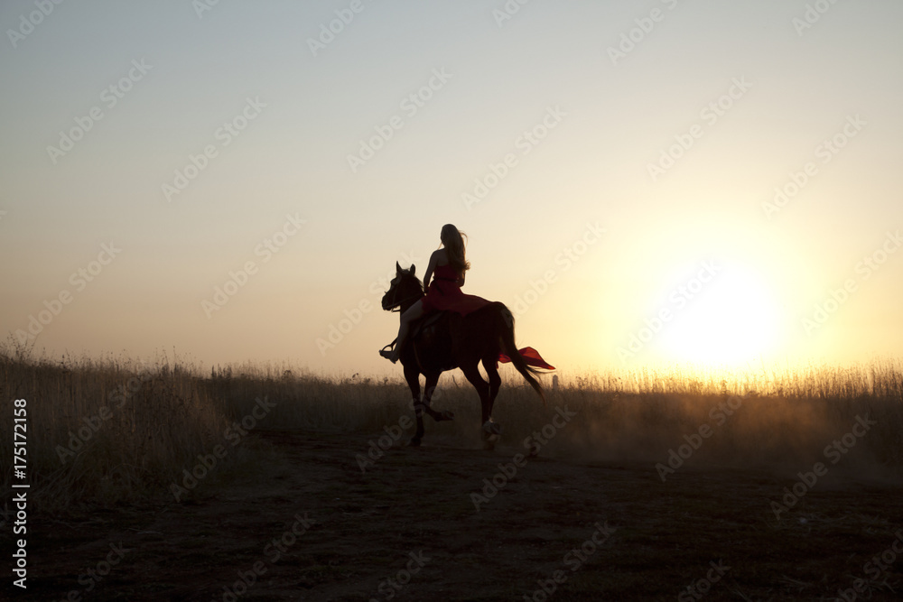 Silhouette girl and horse in field at sunset