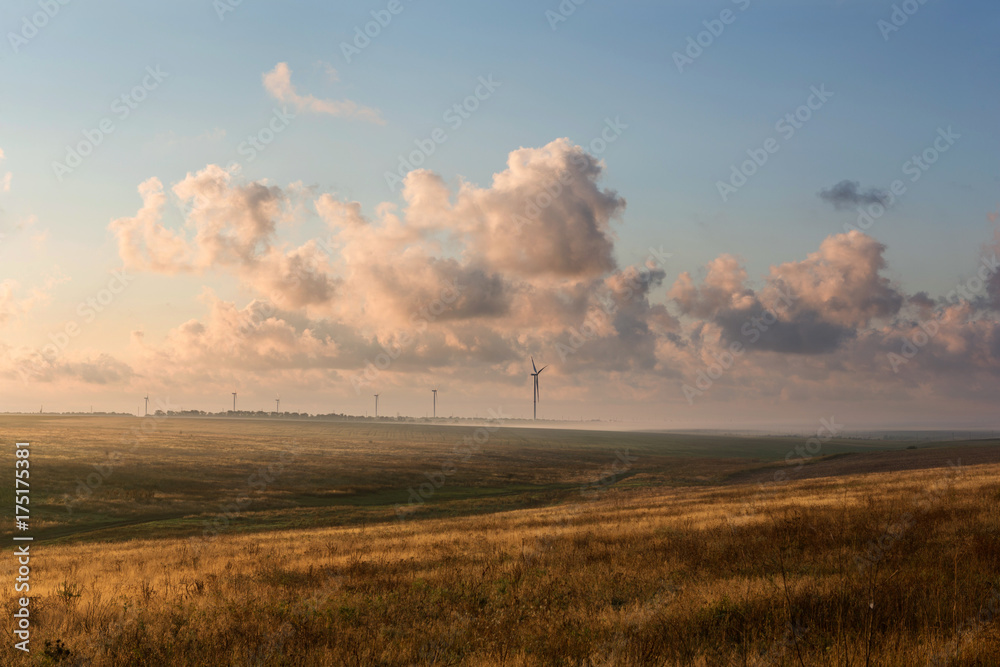 Obraz premium Eco power, wind turbines stand in the field, early morning