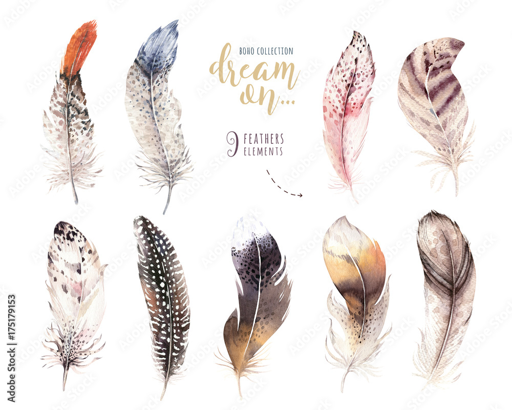 Hand drawn watercolor paintings vibrant feather set. Boho style wings. illustration isolated on white. Bird fly design for T-shirt, invitation, wedding card. Rustic Owl decoration Hand drawn watercolor paintings vibrant feather set. Boho style wings. illustration isolated on white. Bird fly design for T-shirt, invitation, wedding card. Rustic Owl decoration