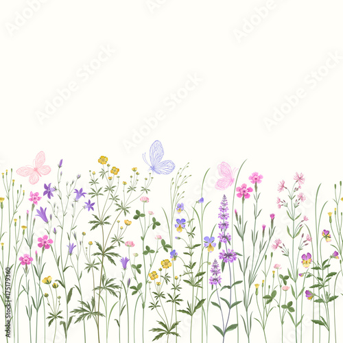 Fototapeta Naklejka Na Ścianę i Meble -  seamless floral border with meadow flowers and buttwerflies