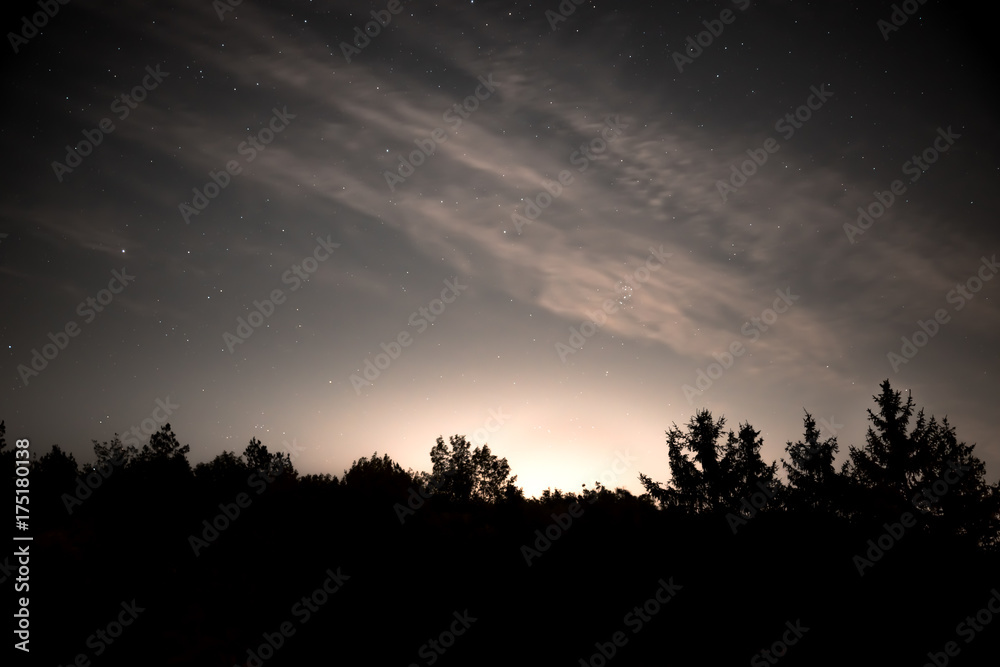 Night sky with stars in the forest at dawn