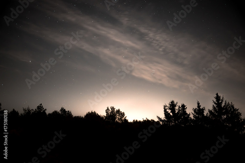 Night sky with stars in the forest at dawn
