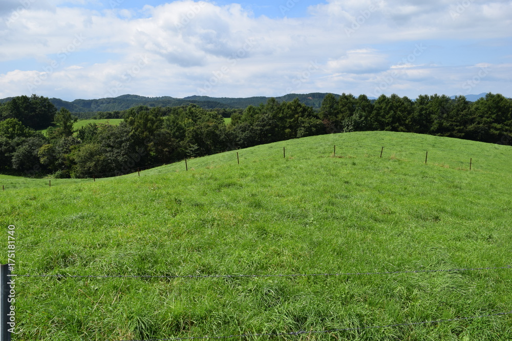 月山高原牧場 ／ 山形県鶴岡市羽黒町にある月山高原牧場は、約100haの緑のジュウタンが広がり、雄大な高原の中で牛や羊を眺められます。高原からの眺めは最高で、ひそかな観光ポイントになっています。