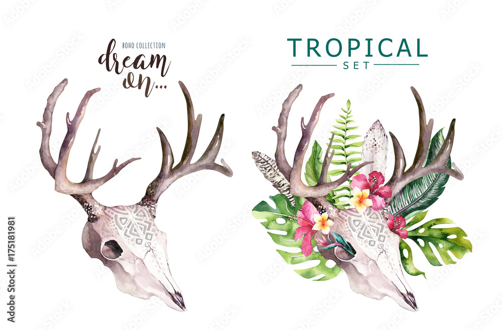 Watercolor bohemian cow skull and tropic palm leaves. Western deer mammals. Tropical deer boho decoration print antlers. flowers, leaves feathers. Isolated on white background. Aloha design. Watercolor bohemian cow skull and tropic palm leaves. Western deer mammals. Tropical deer boho decoration print antlers. flowers, leaves feathers. Isolated on white background. Aloha design.