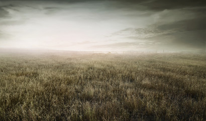 Landscape view of wild dry grass bounded by a wooden fence