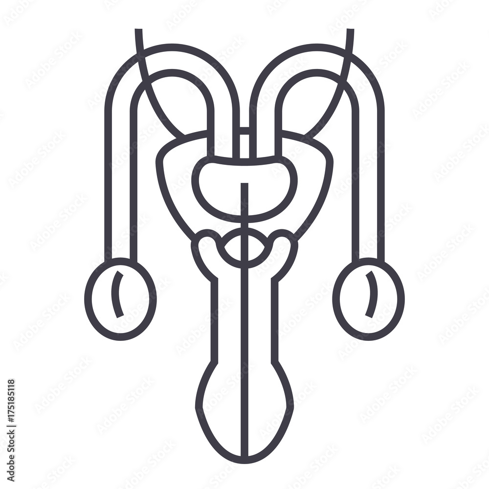 Male Sexual Organs Vector Line Icon Sign Illustration On White Background Editable Strokes