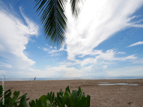 Beach and coconut