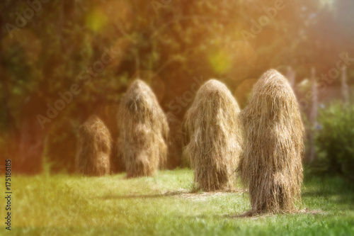 NATUR - Heu zum trocknen aufgestellt