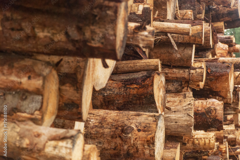 Sawn logs stacked in a pile at the sawmill