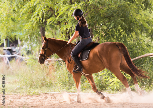 Young pretty girl riding a horse with backlit leaves behind © Dusan Kostic