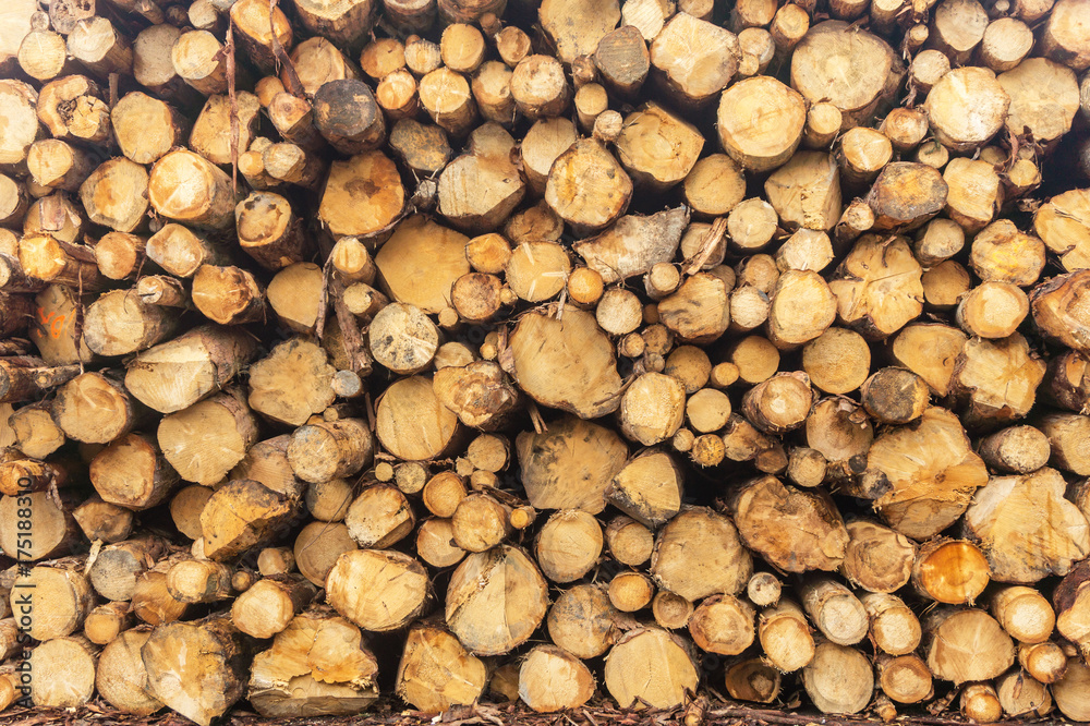 Sawn logs stacked in a pile at the sawmill. Close-up. Background