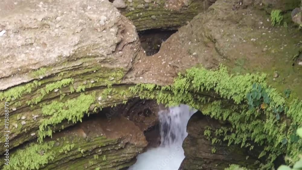 Waterfall Surrounded By Flora - Tilt - Down To Up Waterfall Surrounded By Flora - Tilt - Down To Up