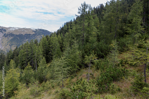 Wallpaper Mural Achensee 2017 Torontodigital.ca