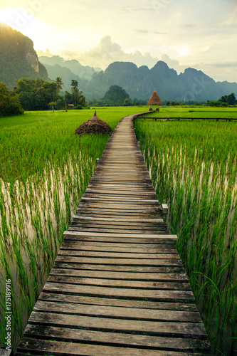 Mountain sunset and green rice fields in Vang Vieng, Laos